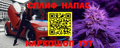 стаф Будённовск