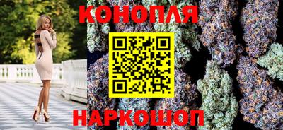 стаф Будённовск
