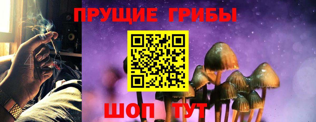 Псилоцибиновые грибы Magic Shrooms  Вход с VPN  закладки  Тюмень 